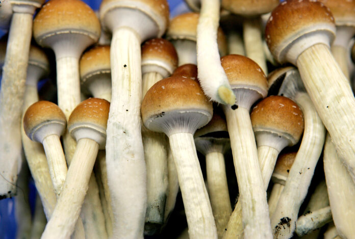 magic mushrooms australia depression