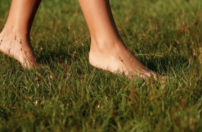 benefits of walking barefoot on grass