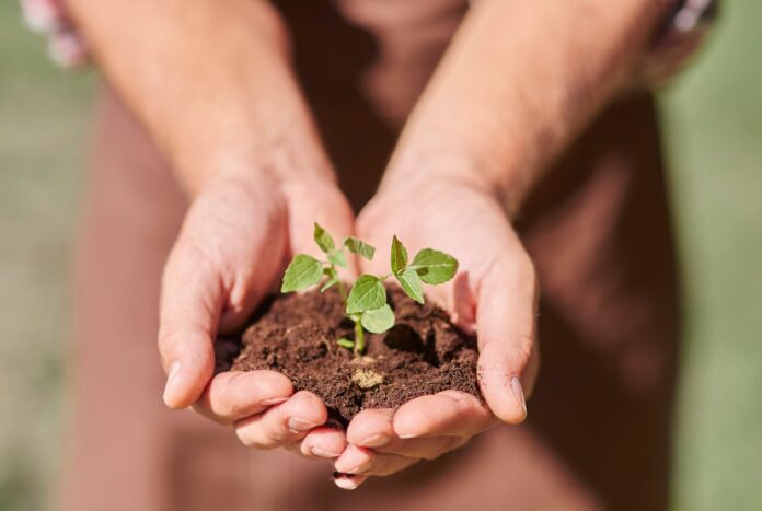 gardening for depression