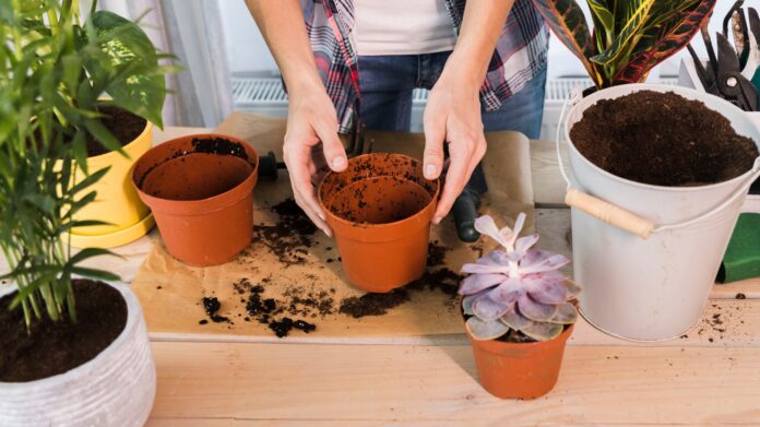 gardening for anxiety